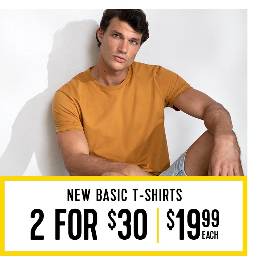 Basic T-shirts 2 for $30