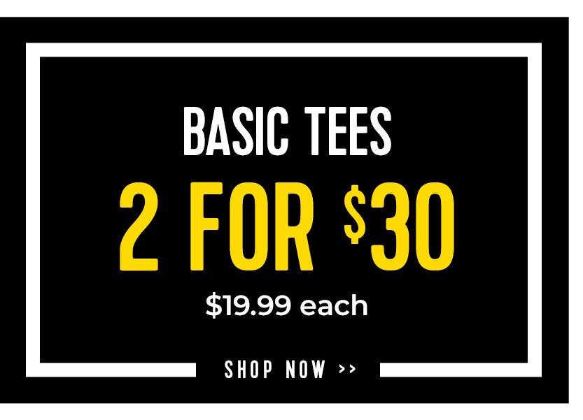 Basic tees 2 for $30