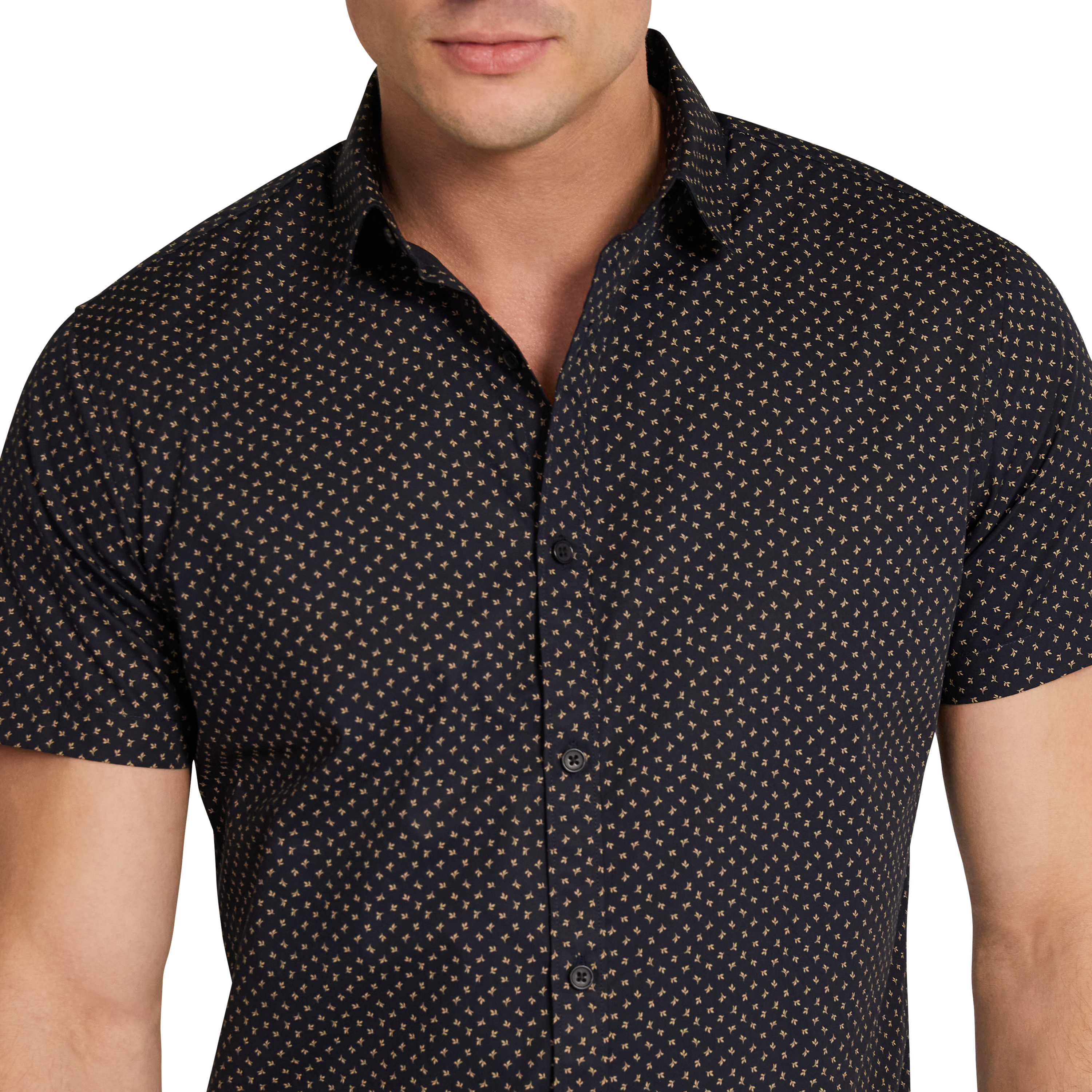 Navy Elgar Ditsy Cotton Short Sleeve Shirt