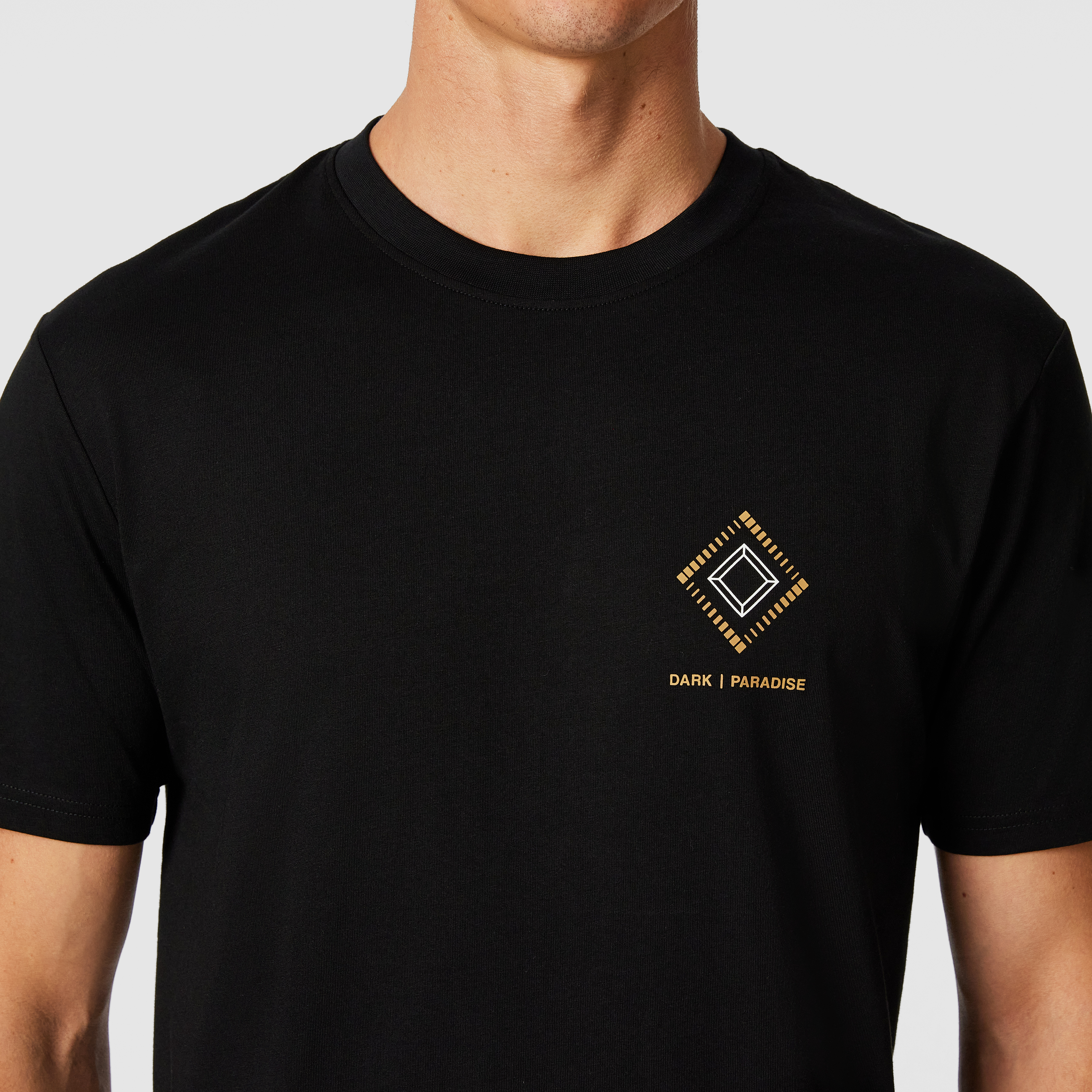 Bradley Longline Graphic Crew Neck Tee