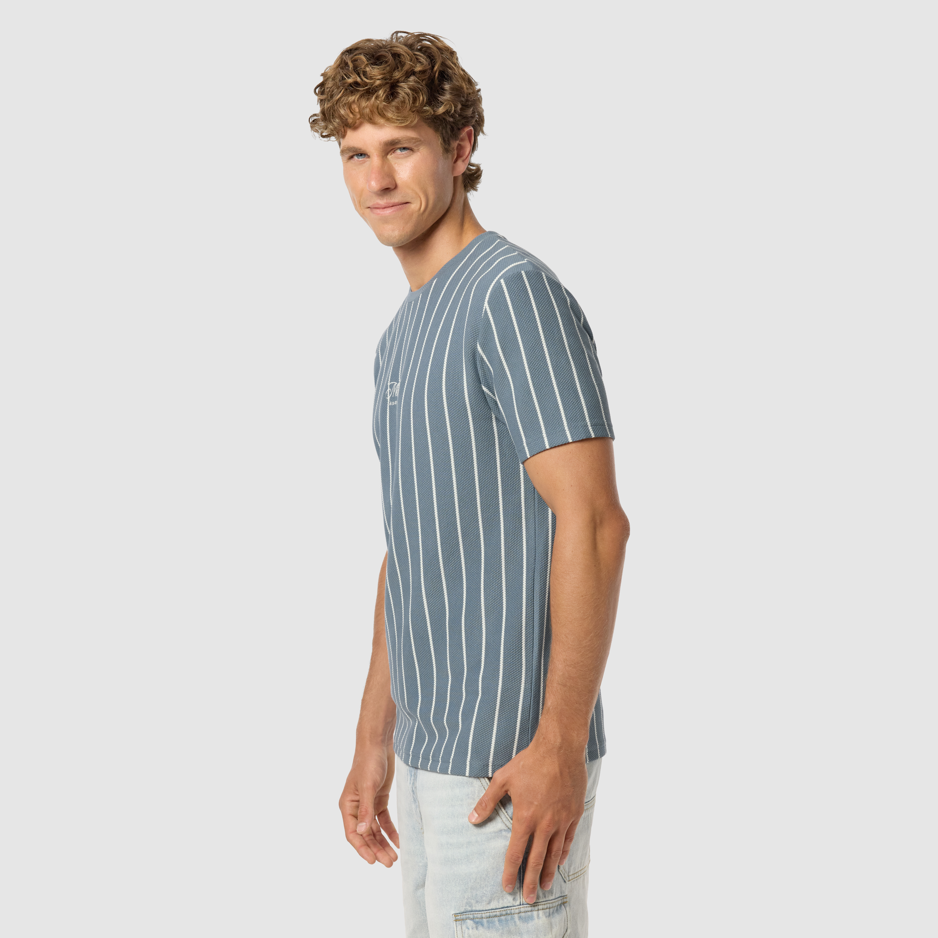 Blue Nord Stripe Crew Neck Tee