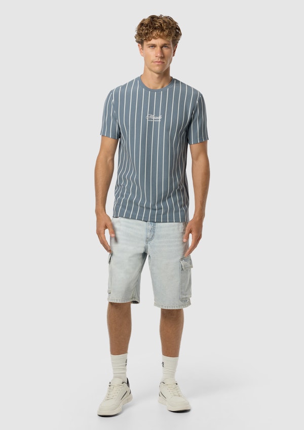 Blue Nord Stripe Crew Neck Tee